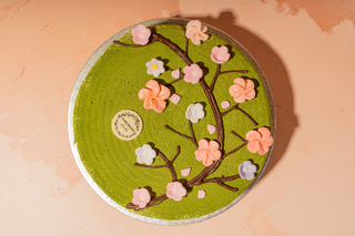 Cherryblossom