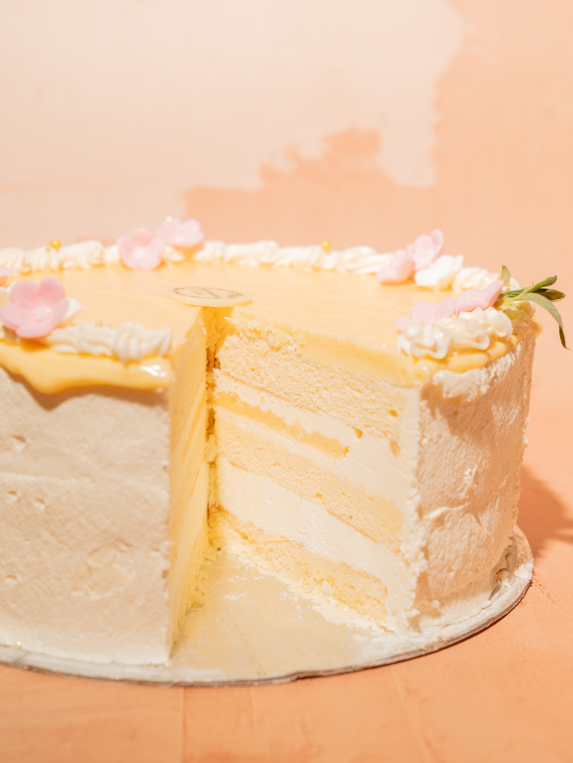 chocolate-shortcake
